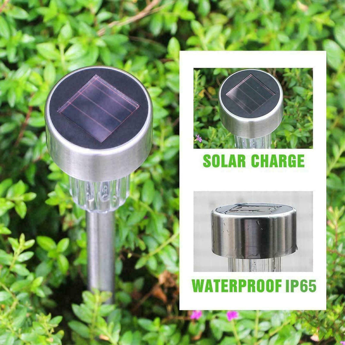 LED Solar Lights Garden Outdoor Patio Path Light Pathway Lawn decorative colours - Trendy Home Decors and Furnishings